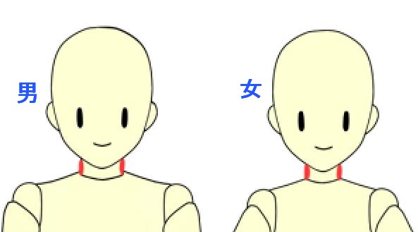 体を描くポイント 男女の描き分け デジタルイラスト 初心者から上級者への近道